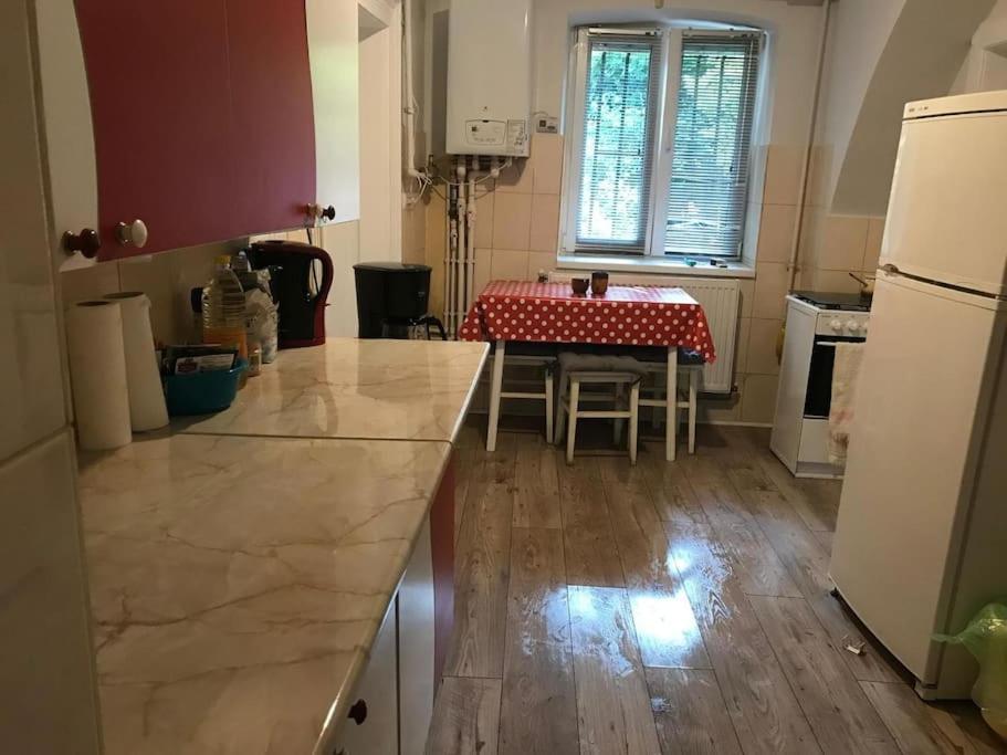 R Castle - 2 Room Apartment ブラショフ エクステリア 写真